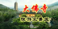 国内大龟头鸡吧一级毛片大全在线观看中国浙江-新昌大佛寺旅游风景区